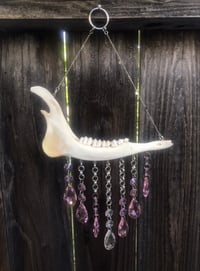 Image 1 of Deer Jaw Custom Suncatcher