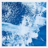 Blueprint #8