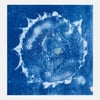 Blueprint #11