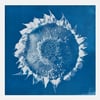 Blueprint #13