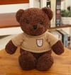 Teddy bear hug bear plush toy bear cub