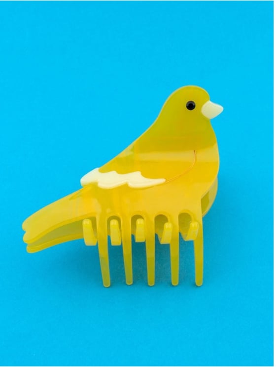 Image of Pinza canario