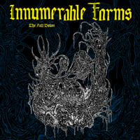 Image 1 of INNUMERABLE FORMS - The Fall Down CS