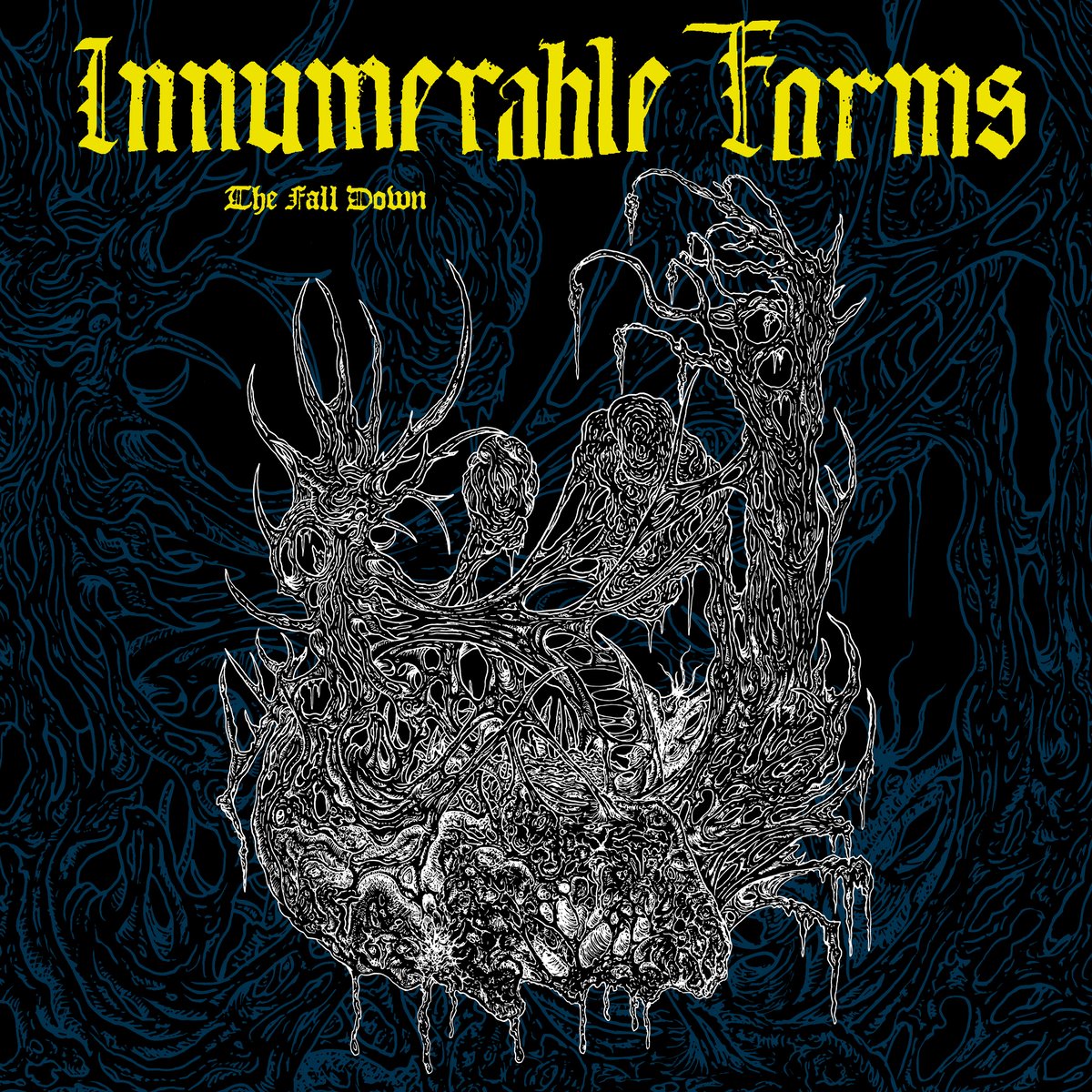 Image of INNUMERABLE FORMS - The Fall Down CS