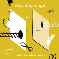 DISTRO: C'est Dommage - Routine Pleasures