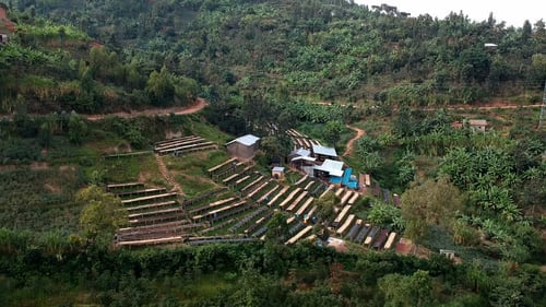 Image of Nyakizu Hills - Rwanda | ESPRESSO