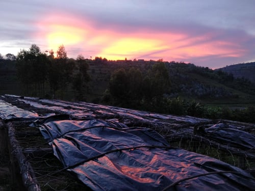 Image of Nyakizu Hills - Rwanda | ESPRESSO