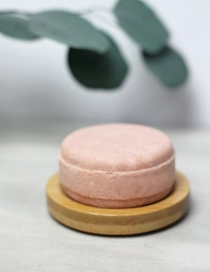 Image of Solid Shampoo and Conditioner