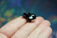 Image 1 of Tiny Glass Orca