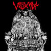 VOMIT - Desecrated Souls CD