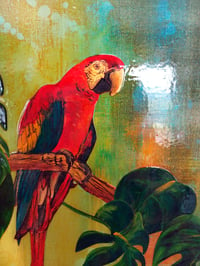 Image 3 of Original Canvas - Macaw - 60cm x 30cm