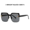 Fashion Square Sunglasses