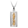 Clearance Priced Silver/Gold  Pendant Ogham My Soul Mate