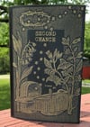Second Chance: Issue #2