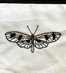 Image 2 of Moth Zipper Pouch