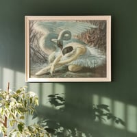 Image 3 of 'The Dying Swan' by Vladimir Tretchikoff, Mid-Century Iconic Vintage Print