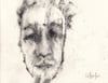 Ruffled - Charcoal On Paper 