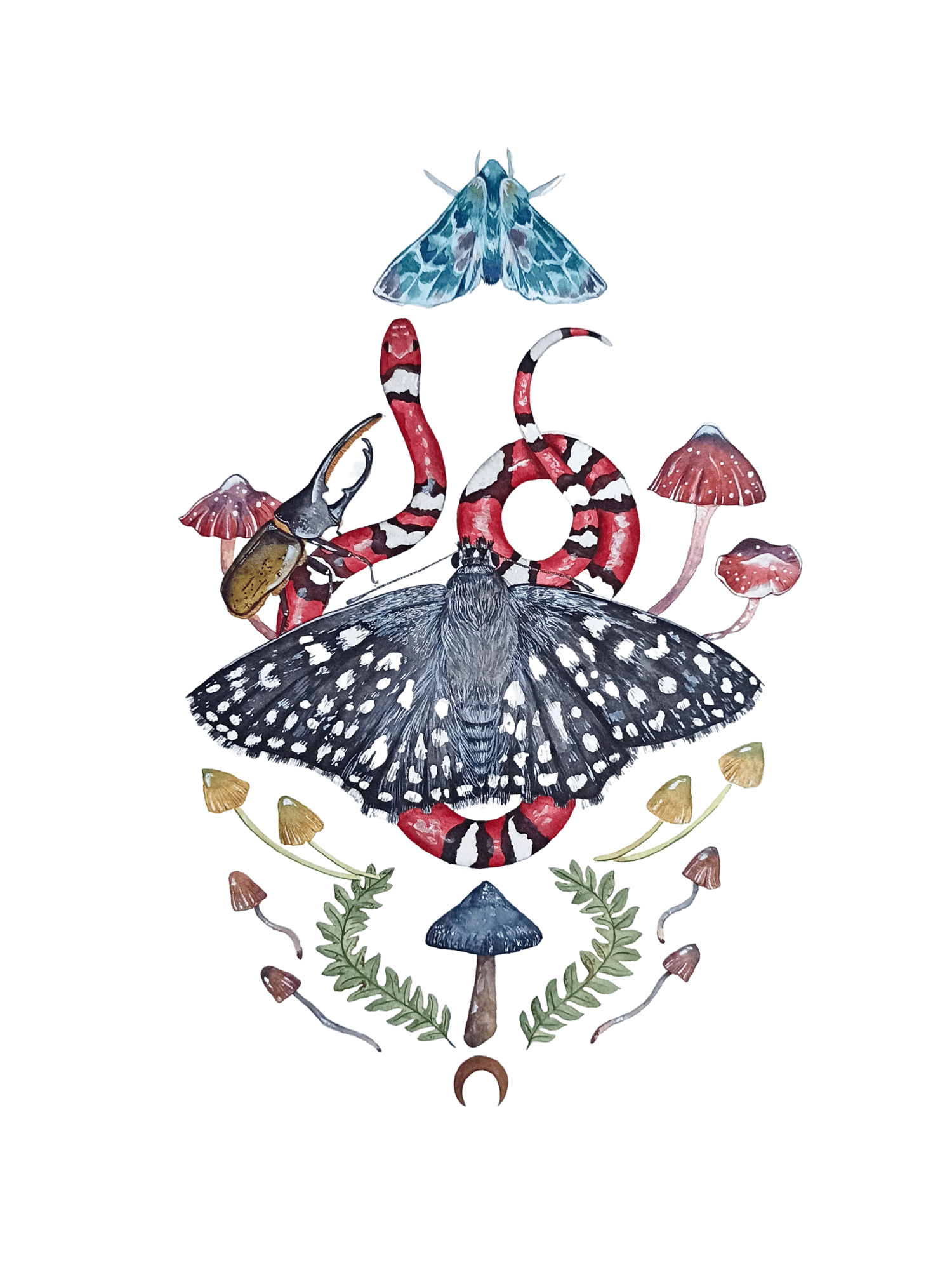 Image of Moths & Snake Guides of the nighttime realm Watercolor Illustration PRINT 