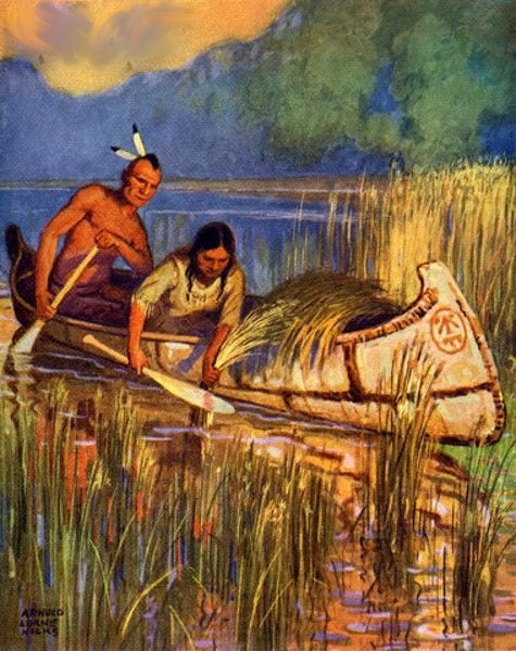 GRASS ROOTS! TRUE Native American WILD Rice-Bones-Muscle-Low Glycemic-Heart [1/4 Lb.-1/2 Lb.]