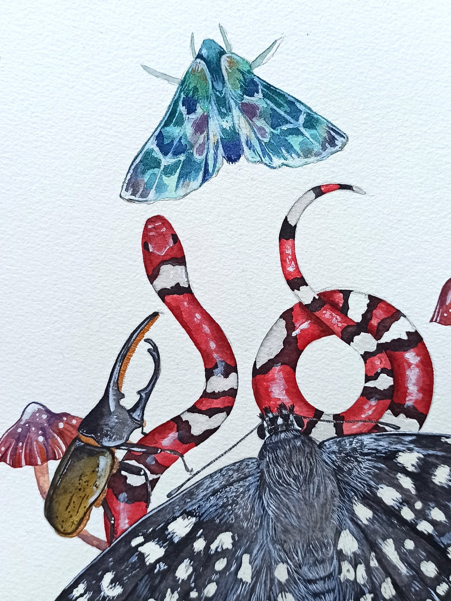 Image of Moths & Snake Guides of the nighttime realm Watercolor Illustration ORIGINAL ARTWORK 