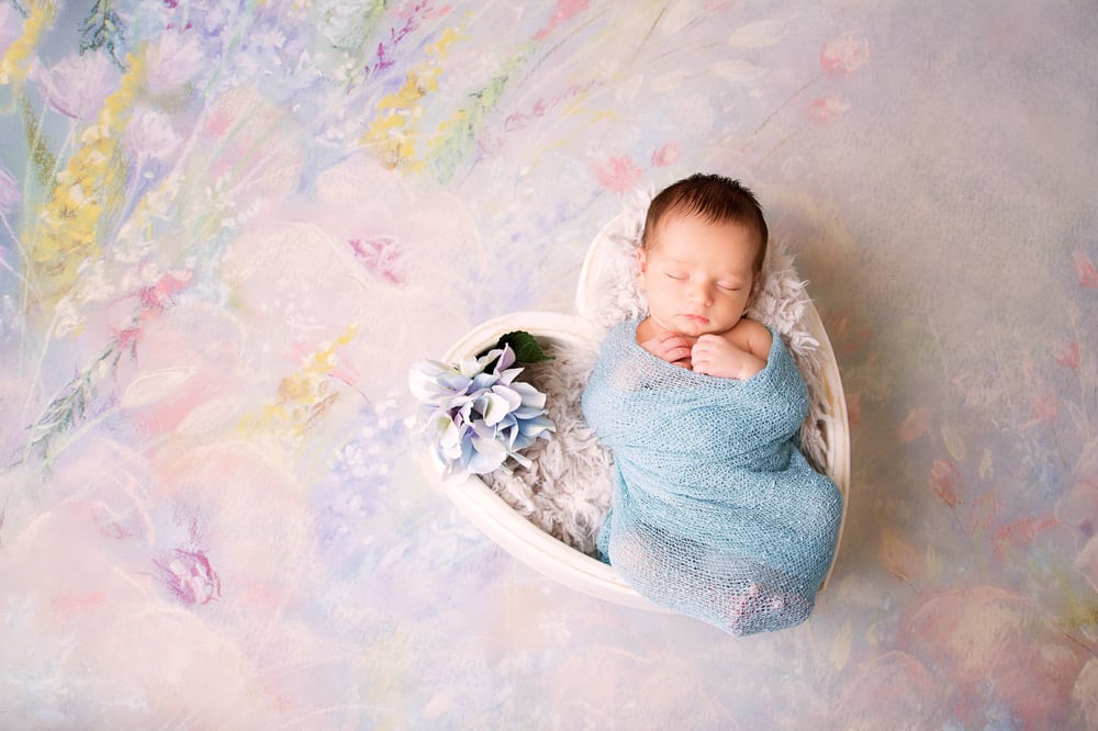 Image of Hovander Family Session & Cake Smash 