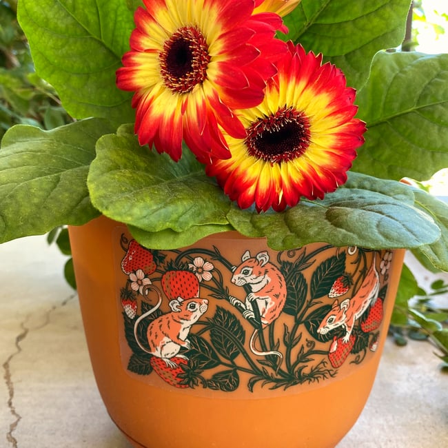 Strawberries & Mice Transparent Sticker