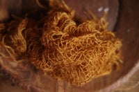 Image 2 of golden bulrap layer