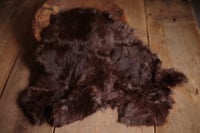 dark brown rabbit fur