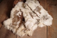 creamy rabbit fur with spots