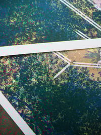 Image 5 of Mousehold Heath A3 Risograph Print