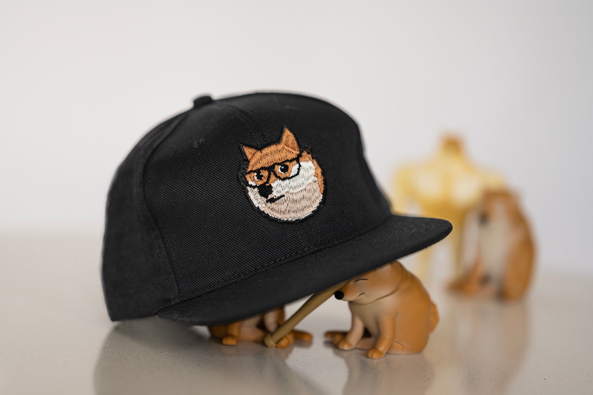 Blocky Doge #39 Hat | Blocky Doge Merch