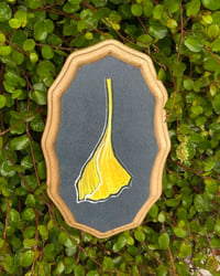 Image 1 of Ginkgo 1