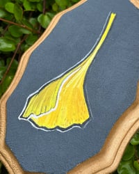 Image 2 of Ginkgo 1