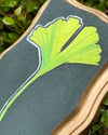 Ginkgo 2