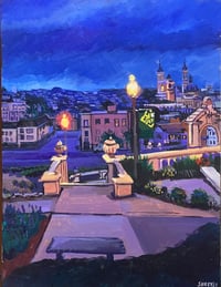 Image 1 of USF Nights