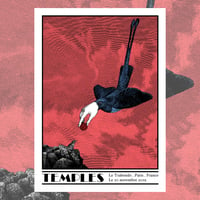 Image of TEMPLES gigposter Paris 2019