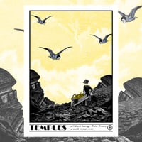 Image of TEMPLES gigposter Paris 2020
