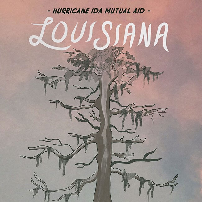 Louisiana Solidarity