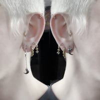 Image 5 of Cat's claw earrings in sterling silver or gold