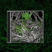 Image 2 of WORM - GLOOMLORD CD