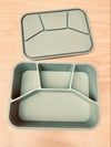 Silicone Bento-4 Lunchbox Sage