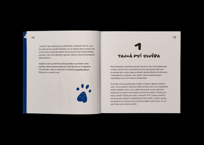 Špiónka Mia: Případ Doktora Pichulky – Jan Dvořák a Jana Macečková