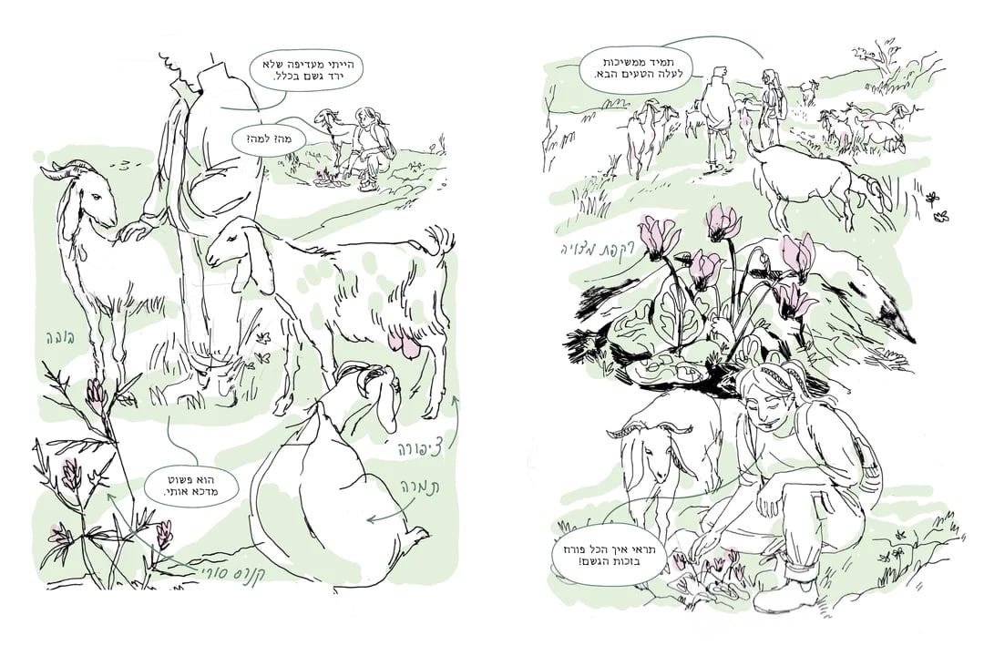 Image of רוני נובה - יומן מרעה (2022)