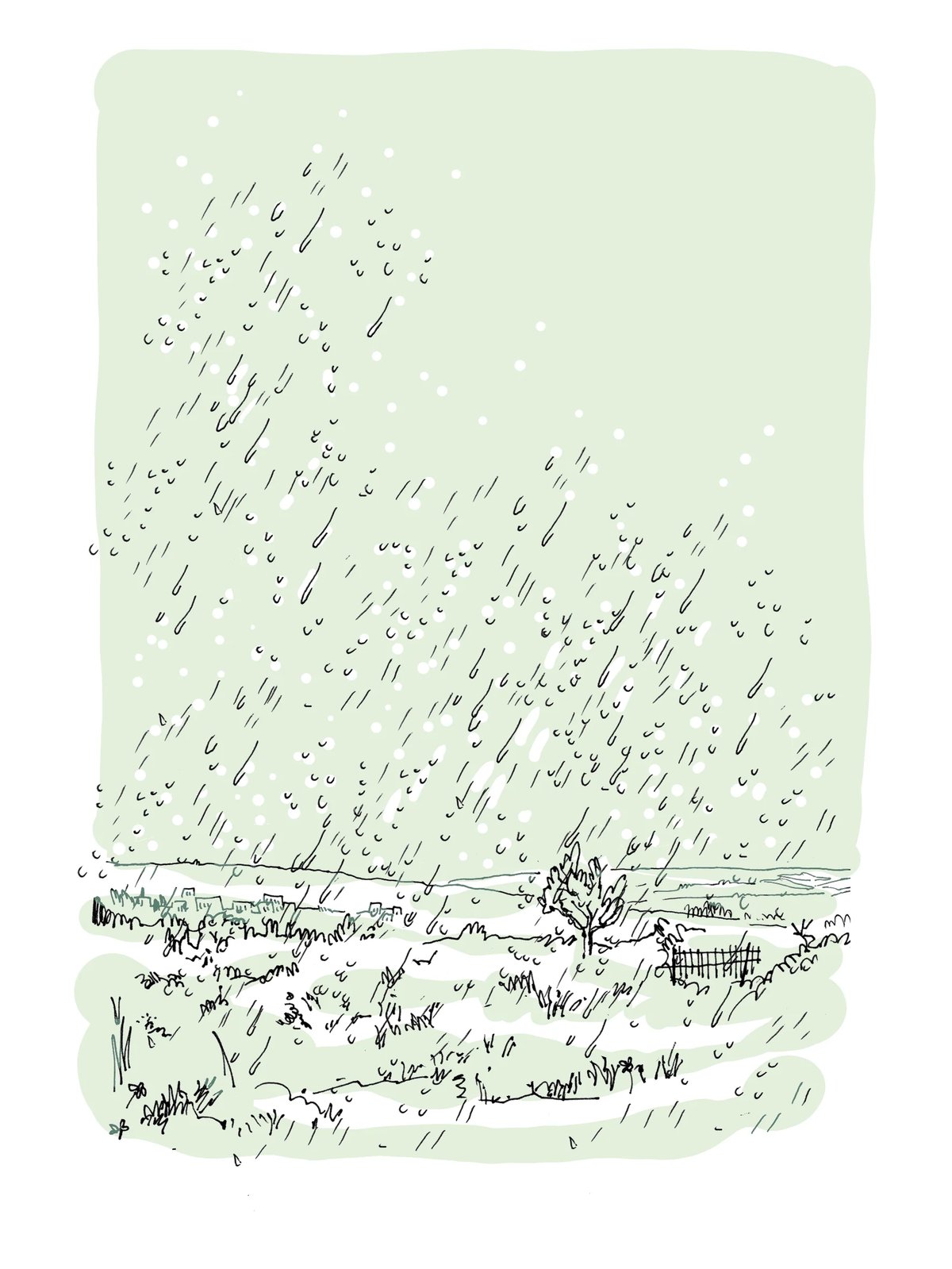 Image of רוני נובה - יומן מרעה (2022)