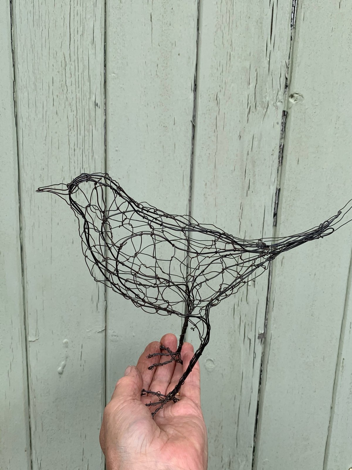 Wire Blackbird