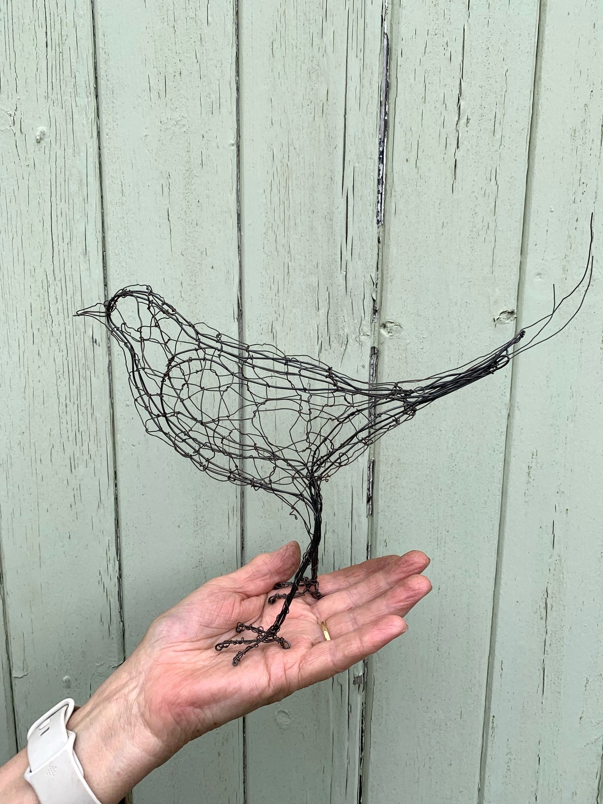 Wire Blackbird