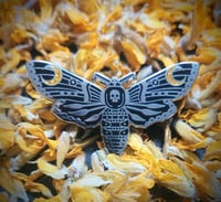 Image 2 of Death's-head Hawk Moth hard enamel pin 