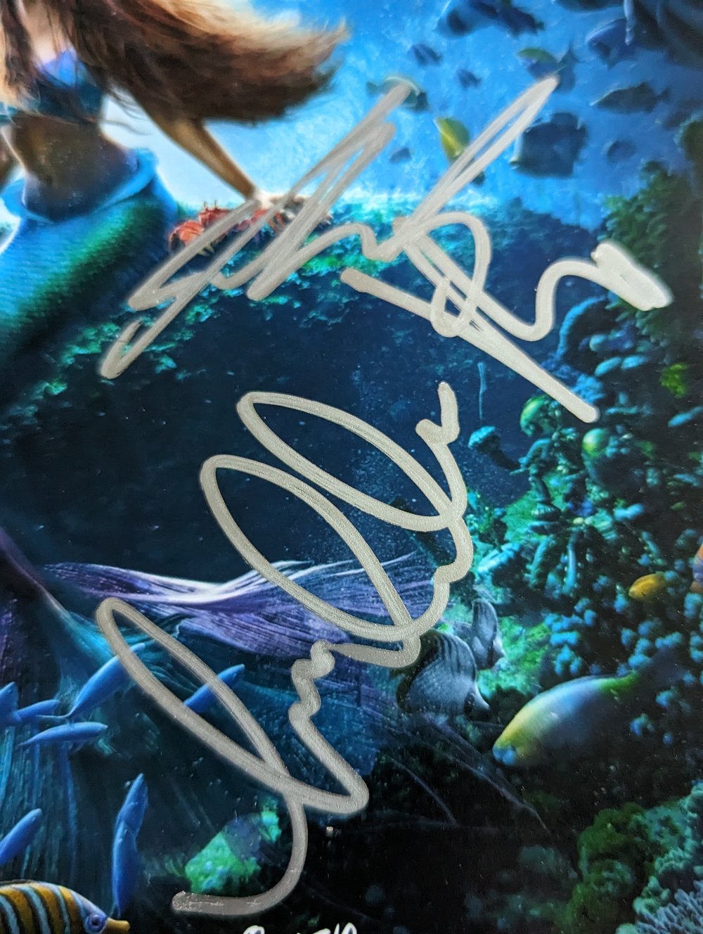 The Little Mermaid Multicast Signed 10x8 Photo