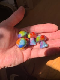 Image 2 of Rainbow Button Mushroom