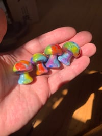 Image 1 of Rainbow Button Mushroom